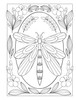 Creative Haven: Boho Bugs Coloring Book-Soft Cover - 5A003DB3-1H9K2