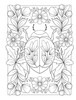 Creative Haven: Boho Bugs Coloring Book-Soft Cover - 5A003DB3-1H9K2