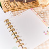 Happy Planner Classic Fill Paper-Squad Goals - 5A003GVL-1HBXS