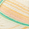 Lion Brand 24/7 Cotton DK Yarn-Spring - 769-1HDNG