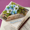 Spellbinders Etched Dies By Susan Tierney-Cockburn-Love-in-a-Mist - 5A003J7G-1HDFD
