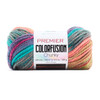3 Pack - Premier Colorfusion Chunky Yarn-Cactus Bloom - 1174-1HFTL - 840166867433