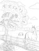 Western Romance-Softcover - 5A003L13-1HGK0