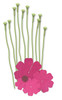 2 Pack - We R Crepe Paper Flowers Kit-Pink - CPF-42670