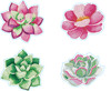 Diamond Dotz Diamond Art Coaster Kit 3.9"X3.9"-Succulents - 5A003JCZ-1HDNK