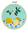 3 Pack - DMC Embroidery Beginner Kits-Lemons 9.8"X9.8" - 5A003KSR-1HG8D