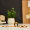 Happy Planner Metal Disc Set-Apple - 5A003LS2-1HH17