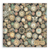 Stamperia Single-Sided Paper Pad 8"X8" 22/Pkg-Gardens of Time - 5A003N7V-1HJQ1