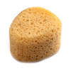 Crafter's Choice Synthetic Sponge-Polyurethane/Synthetic Foam - 5A003LR9-1HH0C