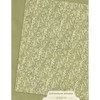Graphic 45 Patterns & Solids Collection Pack 8.5"X11"-Adventure Awaits - 5A003RH2-1HMX2