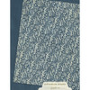 Graphic 45 Patterns & Solids Collection Pack 8.5"X11"-Adventure Awaits - 5A003RH2-1HMX2