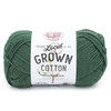 Lion Brand Local Grown Cotton Yarn-Evergreen - 667-172 - 023032139111