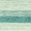 Lion Brand Landscapes Renewed Yarn-Sweet Mint - 542-219AB