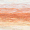 Lion Brand Landscapes Renewed Yarn-Desert Spring - 542-204AJ