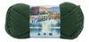 Lion Brand Hometown Yarn-Ashland Pine - 135-180 - 023032113777