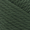 Lion Brand Hometown Yarn-Ashland Pine - 135-180