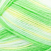 Lion Brand Ice Cream Big Scoop Yarn-Limeade - 922-250