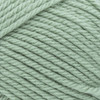 Lion Brand Basic Stitch Anti-Pilling Yarn-Sage - 202-173