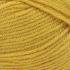 Lion Brand Basic Stitch Anti-Pilling Yarn-Mustard - 202-158