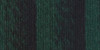 Lion Brand Scarfie Yarn-Forest/Black - 826-202