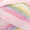 Lion Brand Baby Soft Yarn-Circus Print - 920-219