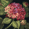 Dimensions Needlepoint Kit 14"X14"-Hydrangea Bloom Stitched In Wool - 20053