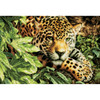 Dimensions Gold Collection Counted Cross Stitch Kit 16"X11"-Leopard In Repose (14 Count) - 70-35300