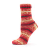 3 Pack - Premier Farmstand Yarn-Tomato - 5A003Q5M-1HKMM