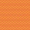 25 Pack - Echo Park Freshly Picked Cardstock 12"X12"-Garden Veggies - 5A003QVN-1HMB3