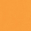25 Pack - Echo Park Cat Lover Cardstock 12"X12"-Blue/Orange - 5A003QSX-1HM7X