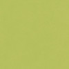 25 Pack - Echo Park Cat Lover Cardstock 12"X12"-Green/Navy - 5A003QSX-1HM7B