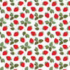 25 Pack - Echo Park Strawberry Fields Cardstock 12"X12"-Strawberry Patch - 5A003QRJ-1HM5S