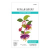 Spellbinders Etched Dies-Magical Fuchsia - 5A003QY4-1HMHJ - 810205711799