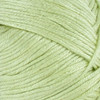 3 Pack - Lion Brand Truboo Yarn-Celery - 837-130
