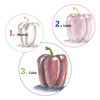 Do Art Colored Pencil Kit- - 14550