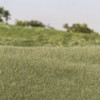 Woodland Scenic Static Grass 2mm-Light Green - FS615
