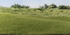 Woodland Scenic Static Grass 2mm-Light Green - FS615