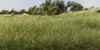 3 Pack - Woodland Scenics Static Grass 12mm-Medium Green - FS626