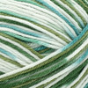 2 Pack - Lion Brand Bundle Of Love Yarn-Enchanted Forest - 149-202