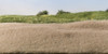 3 Pack - Woodland Scenics Static Grass 2mm-Straw - FS616