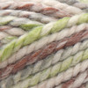 3 Pack - Lion Brand Wool-Ease Thick & Quick Yarn-Fern - 640-551