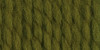 3 Pack - Lion Brand Wool-Ease Thick & Quick Yarn-Cilantro - 640-178