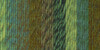 3 Pack - Lion Brand Ferris Wheel Yarn-Evergreen - 217-603