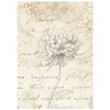 Stamperia Rice Paper Backgrounds A6 8/Pkg-All Around - 5A003R63-1HMT6