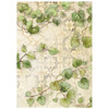Stamperia Rice Paper Backgrounds A6 8/Pkg-All Around - 5A003R63-1HMT6