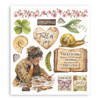 Stamperia Rub-On Selection 8x9 - 6/Pkg-All Around - 5A003R6R-1HMTN