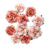 Prima Paper Flowers 10/Pkg-Blush Harvest - 5A003T3T-1HPK5 - 655350683641