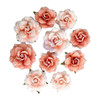 3 Pack - Prima Paper Flowers 10/Pkg-Blush Harvest - 5A003T3T-1HPK5