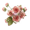 3 Pack - Prima Paper Flowers 10/Pkg-Garden Rose Blush - 5A003T4F-1HPJR