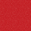 25 Pack - Echo Park Mouse And Me Christmas Cardstock 12"X12"-Present Pals - 5A003W2R-1HRPQ
